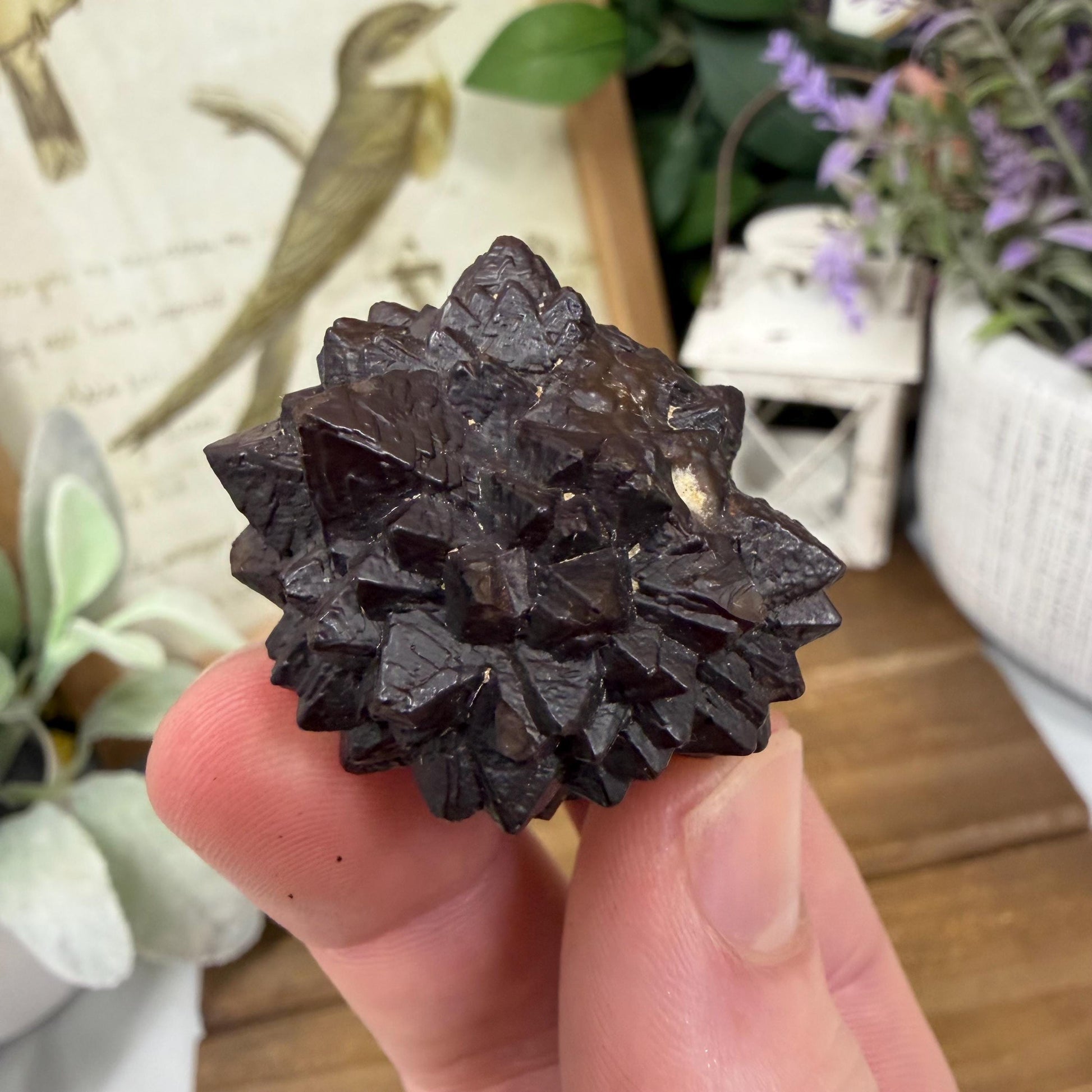 Unique Large Prophecy Stone | Displays Visible Growth Core