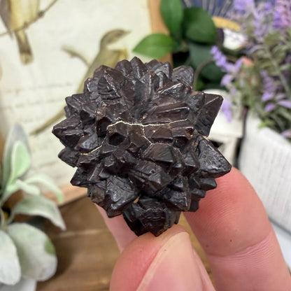 Unique Large Prophecy Stone | Displays Visible Growth Core