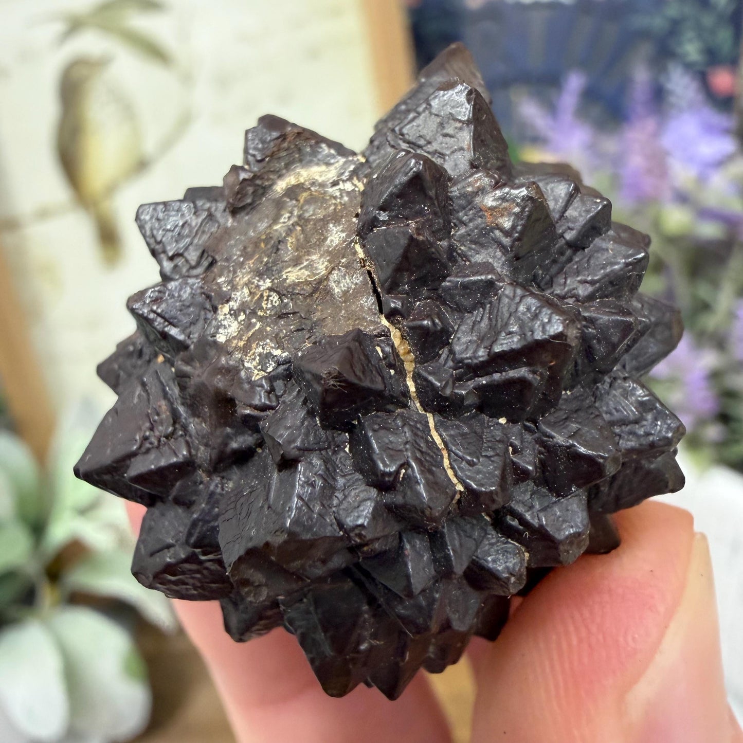 Unique Large Prophecy Stone | Displays Visible Growth Core