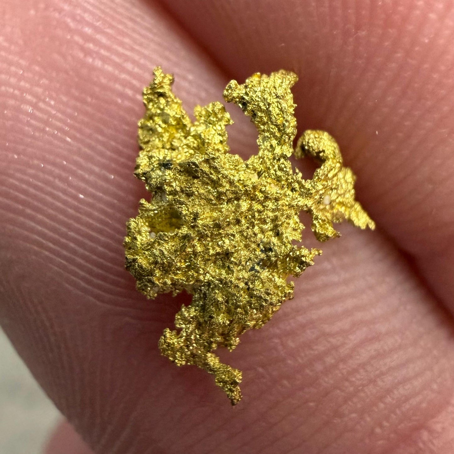 Dendritic Native Gold Specimen | 0.65g Natural Gold | Grass Valley, Nevada County California | Collector Gold