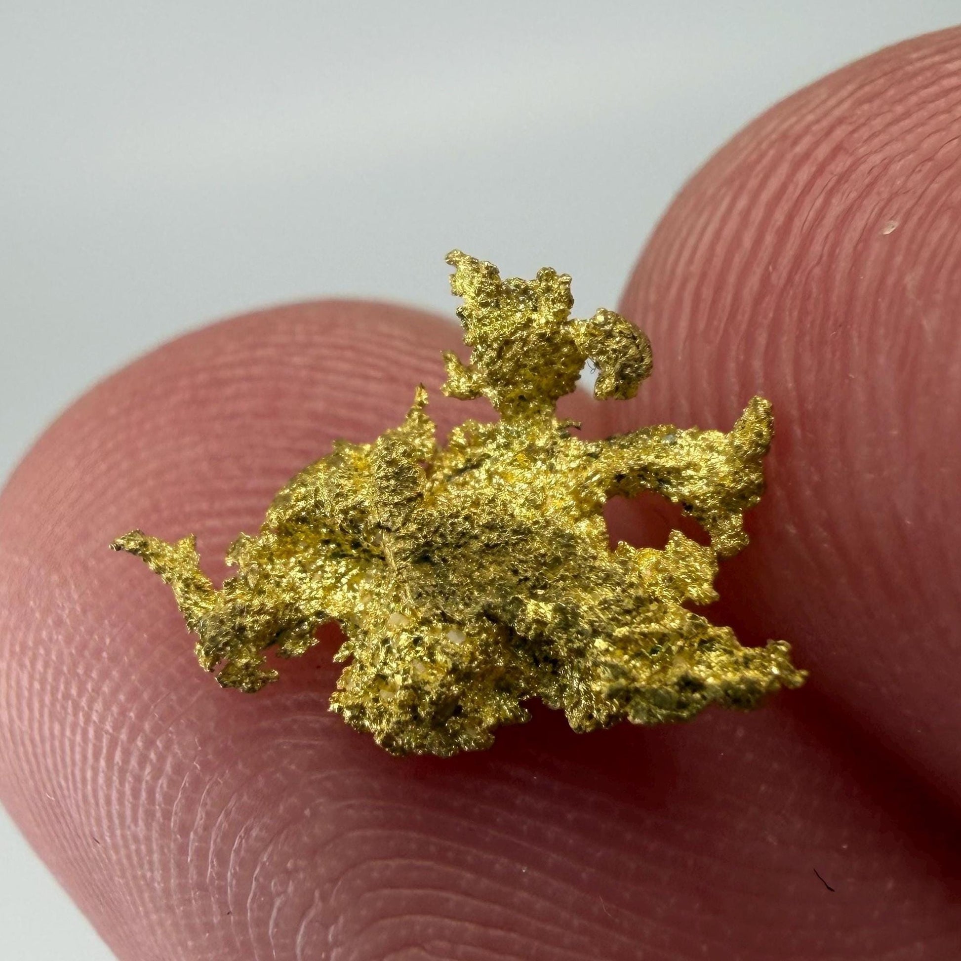 Dendritic Native Gold Specimen | 0.65g Natural Gold | Grass Valley, Nevada County California | Collector Gold