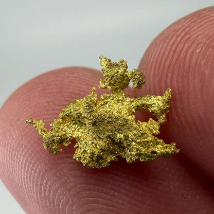 Dendritic Native Gold Specimen | 0.65g Natural Gold | Grass Valley, Nevada County California | Collector Gold