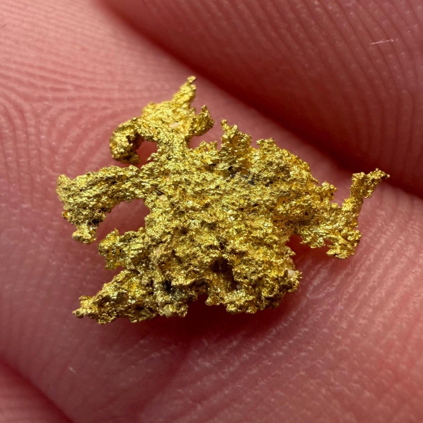 Dendritic Native Gold Specimen | 0.65g Natural Gold | Grass Valley, Nevada County California | Collector Gold
