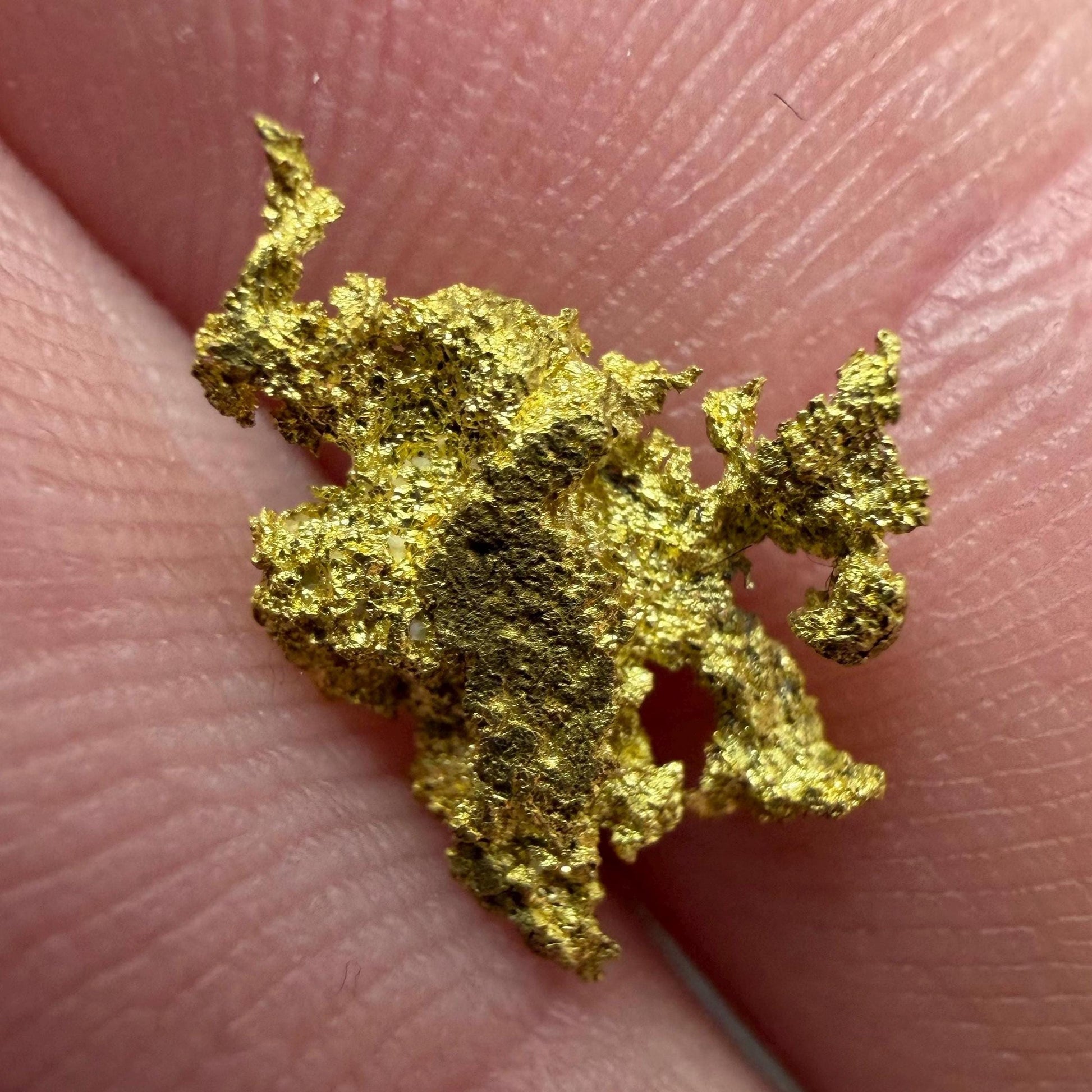 Dendritic Native Gold Specimen | 0.65g Natural Gold | Grass Valley, Nevada County California | Collector Gold