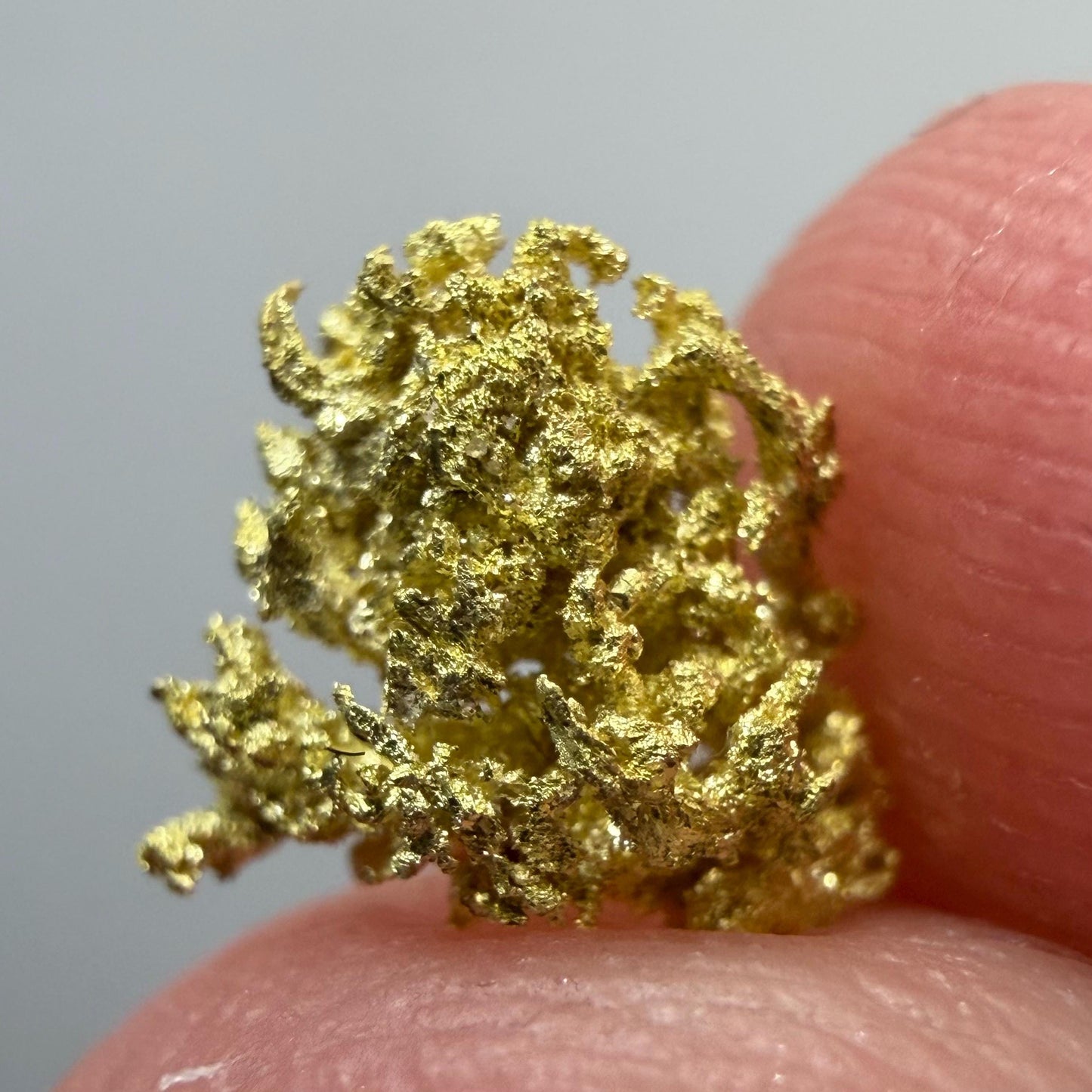 Crystallized Gold Nugget | Belshazzar Mine, Idaho | Natural Leaf & Dendritic Gold | 0.44g Collector Specimen