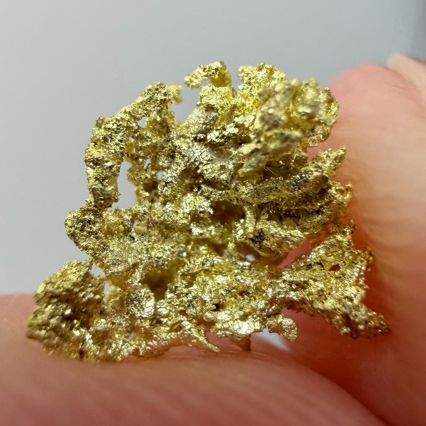 Crystallized Gold Nugget | Belshazzar Mine, Idaho | Natural Leaf & Dendritic Gold | 0.44g Collector Specimen