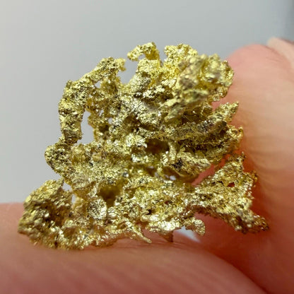 Crystallized Gold Nugget | Belshazzar Mine, Idaho | Natural Leaf & Dendritic Gold | 0.44g Collector Specimen