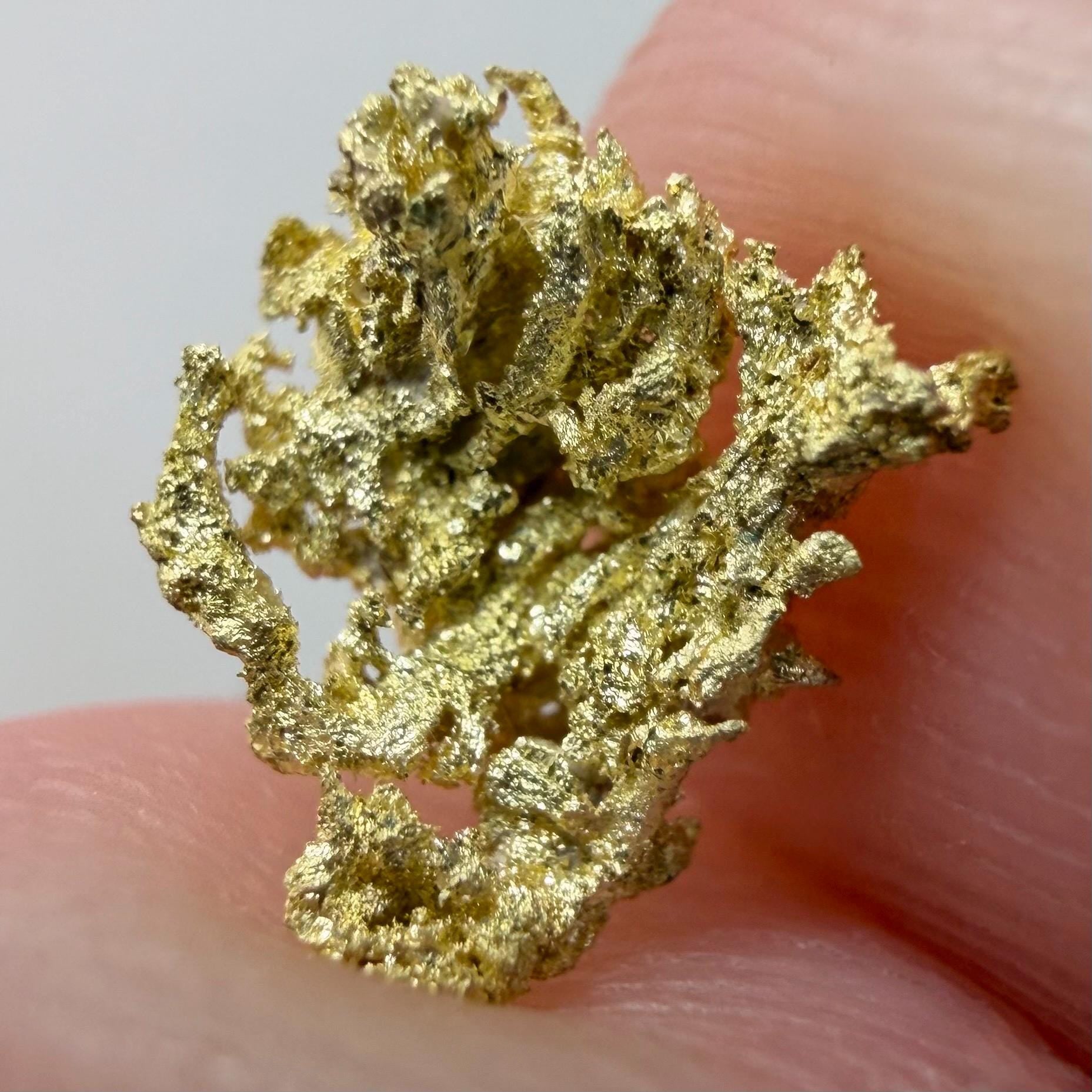 Crystallized Gold Nugget | Belshazzar Mine, Idaho | Natural Leaf & Dendritic Gold | 0.44g Collector Specimen