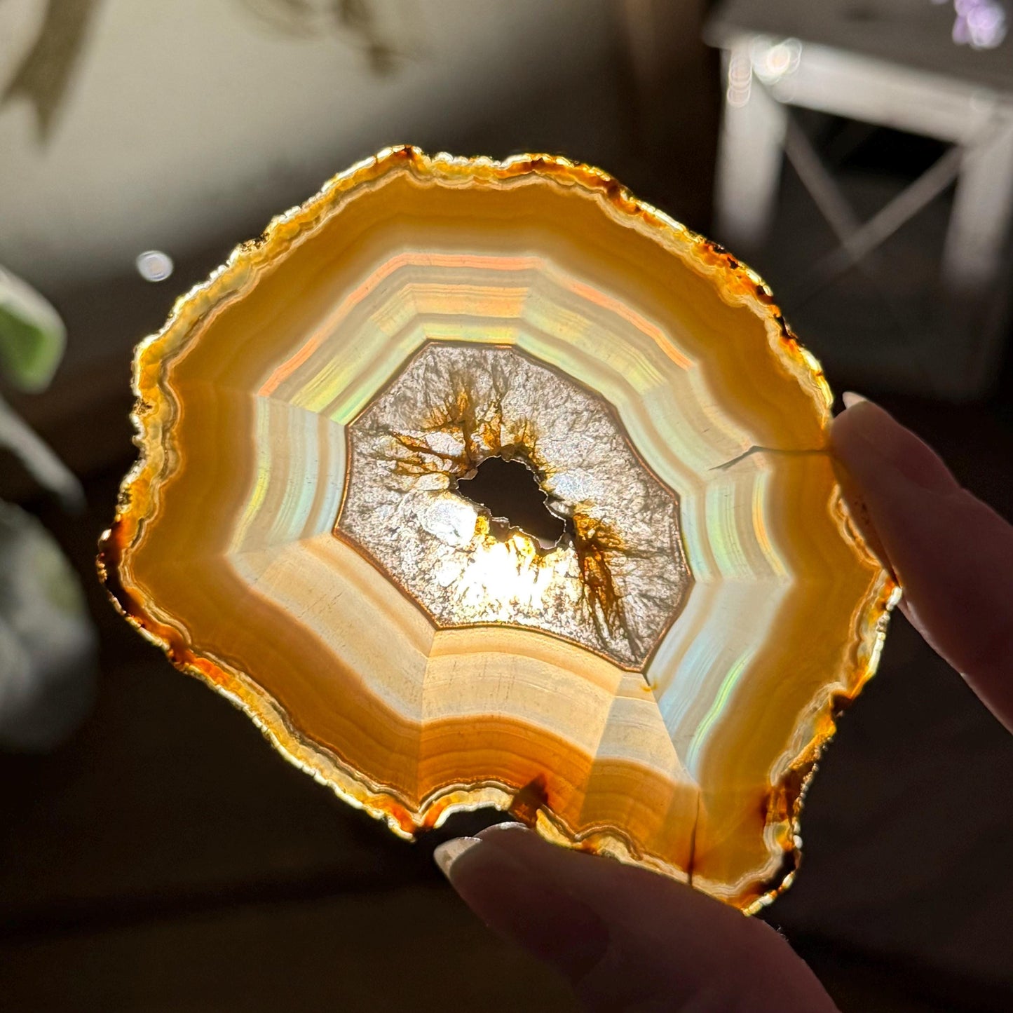 Rainbow Iris Agate | Iris Agate Slice