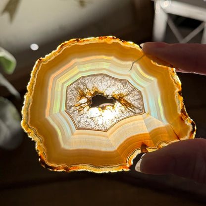 Rainbow Iris Agate | Iris Agate Slice