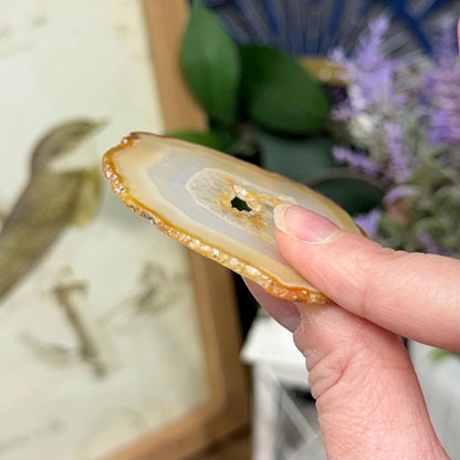 Rainbow Iris Agate | Iris Agate Slice