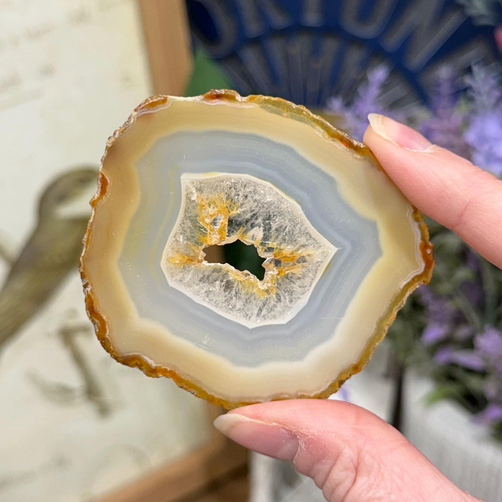 Rainbow Iris Agate | Iris Agate Slice