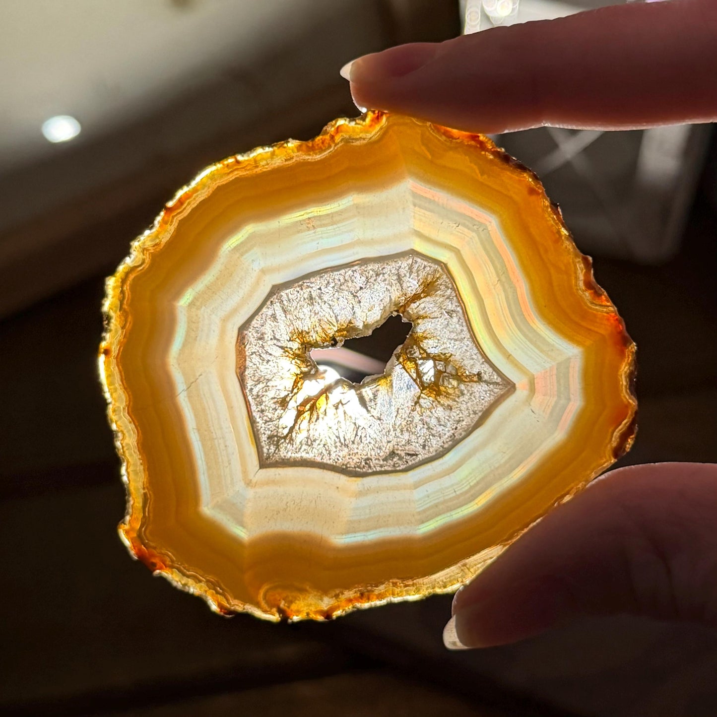 Rainbow Iris Agate | Iris Agate Slice