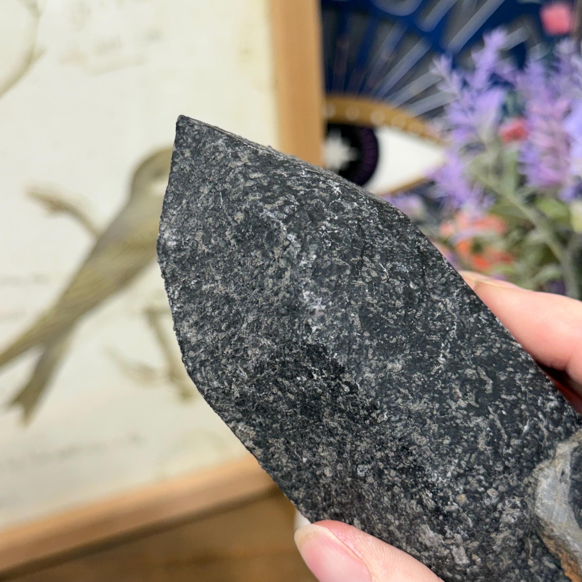 Rare Large Basalt Quartz Pseudomorph from Minas Gerais, Brazil | Black Quartz | Quartz Specimen | Mineral Pseudomorph