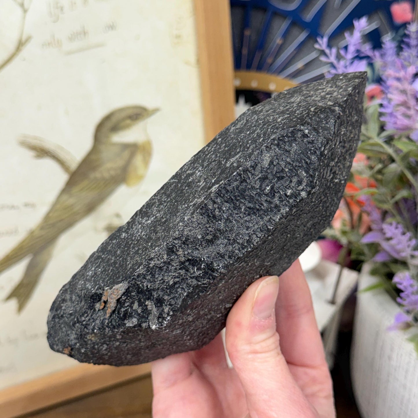 Rare Large Basalt Quartz Pseudomorph from Minas Gerais, Brazil | Black Quartz | Quartz Specimen | Mineral Pseudomorph