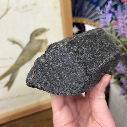 Rare Large Basalt Quartz Pseudomorph from Minas Gerais, Brazil | Black Quartz | Quartz Specimen | Mineral Pseudomorph