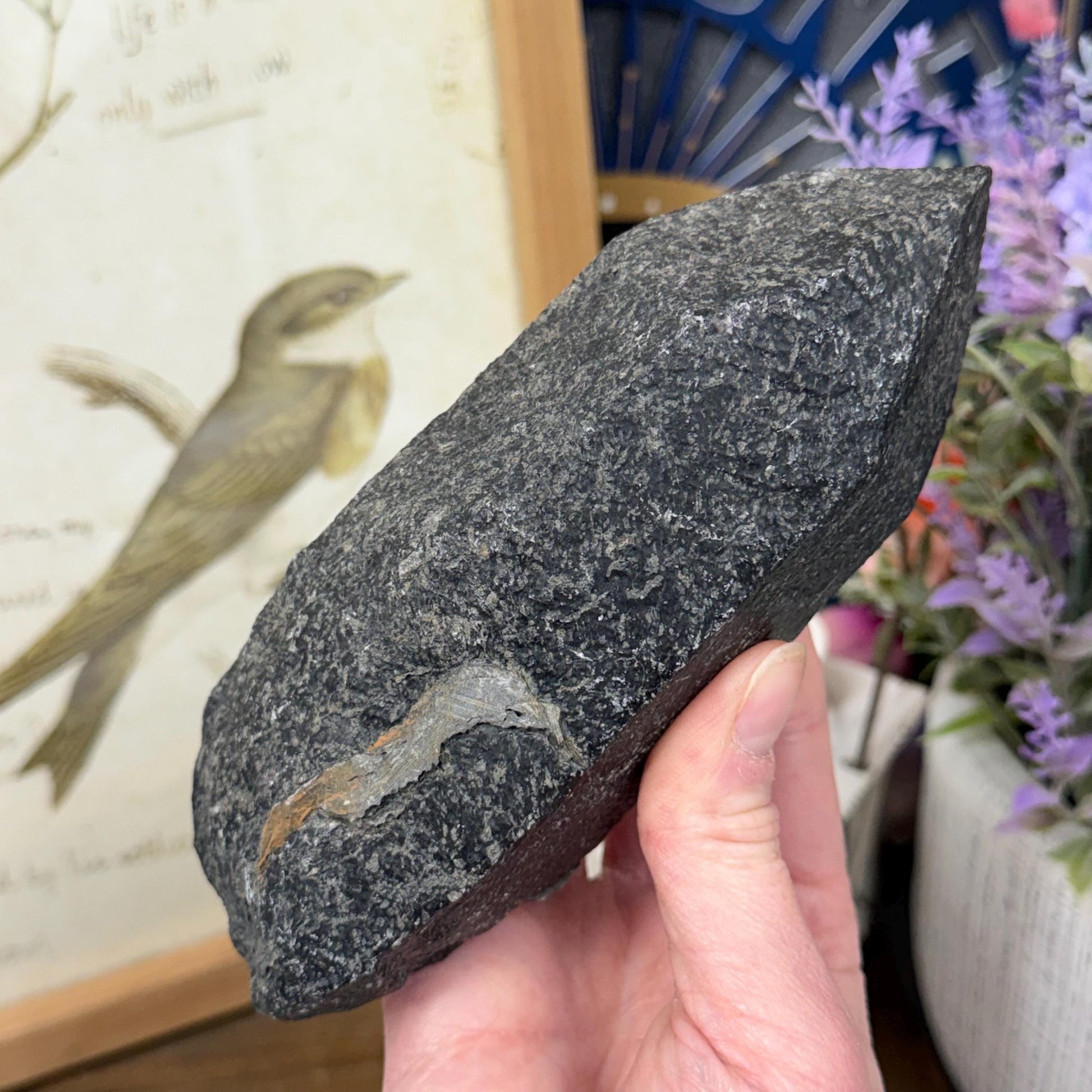 Rare Large Basalt Quartz Pseudomorph from Minas Gerais, Brazil | Black Quartz | Quartz Specimen | Mineral Pseudomorph