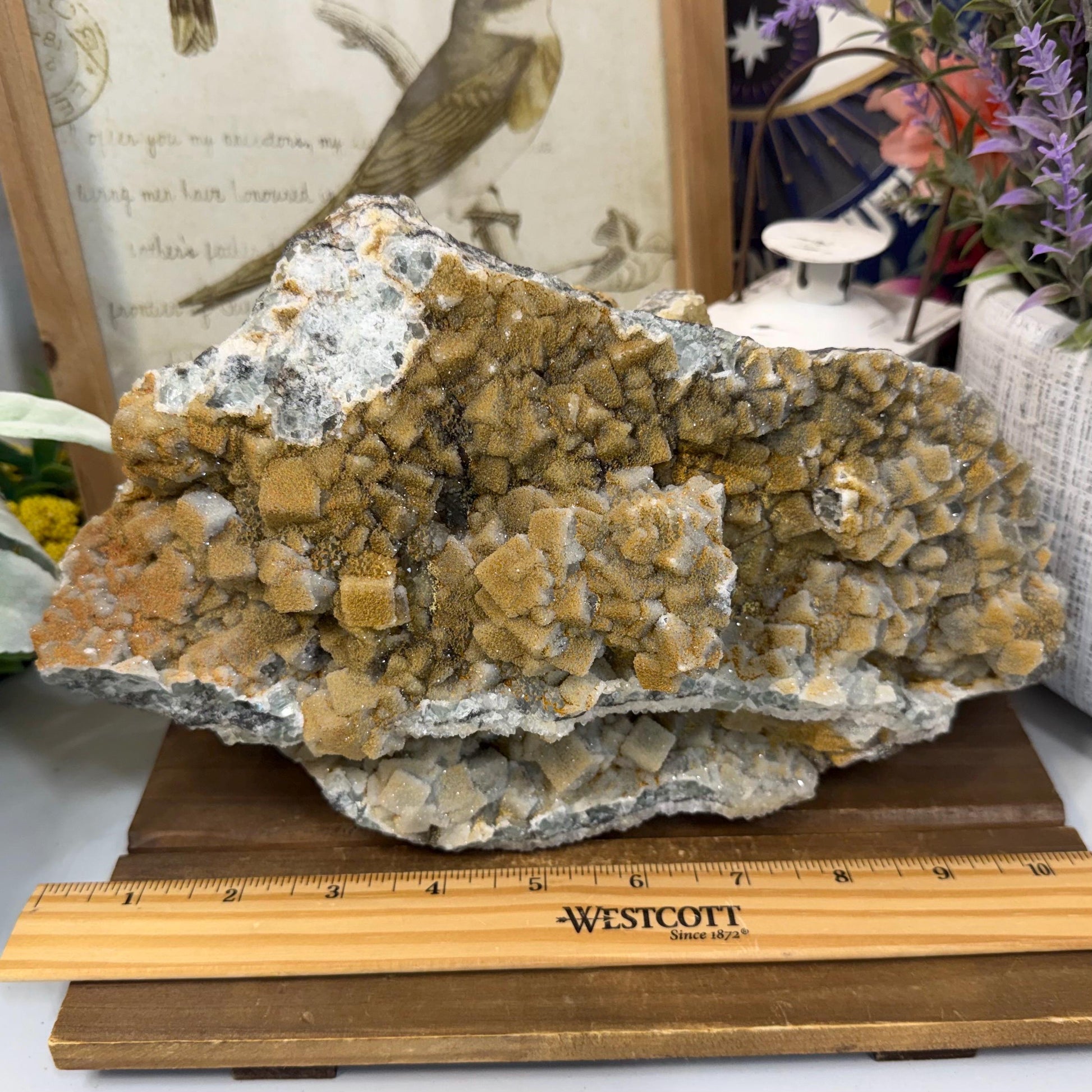 XL Cubic Fluorite with Quartz Druzy Overgrowth | Cubic Fluorite & Sparkling Quartz | Fluorite Cabinet Specimen | Mineral Specimen