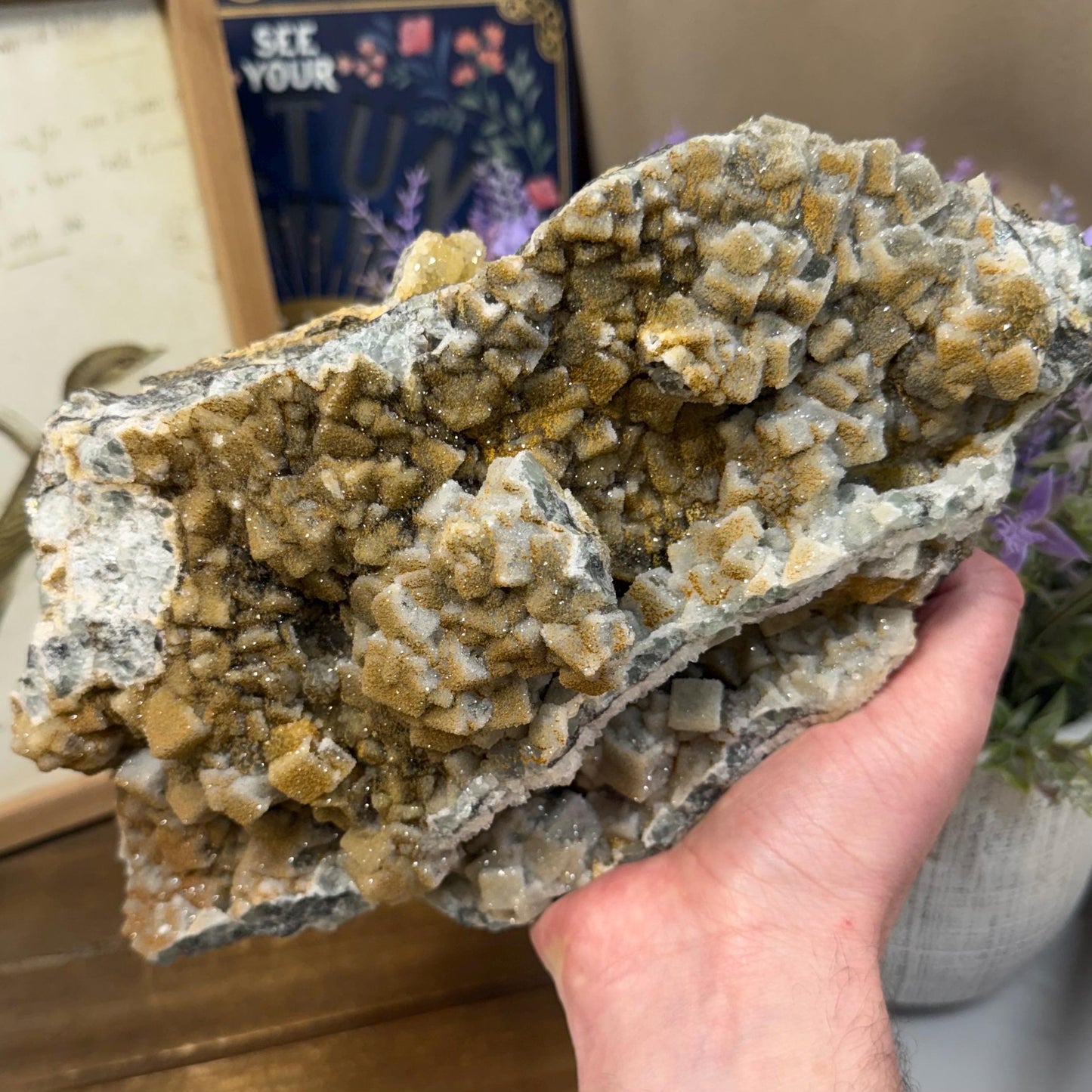 XL Cubic Fluorite with Quartz Druzy Overgrowth | Cubic Fluorite & Sparkling Quartz | Fluorite Cabinet Specimen | Mineral Specimen