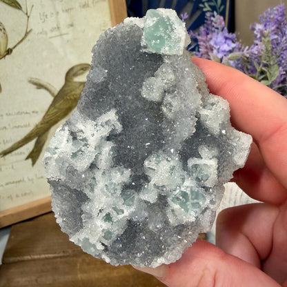 Sparkling Druzy Quartz on Cubic Fluorite | Quartz Epimorphs After Fluorite Cubes | Light Green Fluorite Mineral Specimen