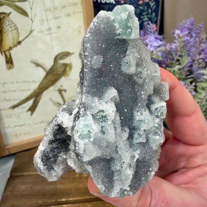 Sparkling Druzy Quartz on Cubic Fluorite | Quartz Epimorphs After Fluorite Cubes | Light Green Fluorite Mineral Specimen