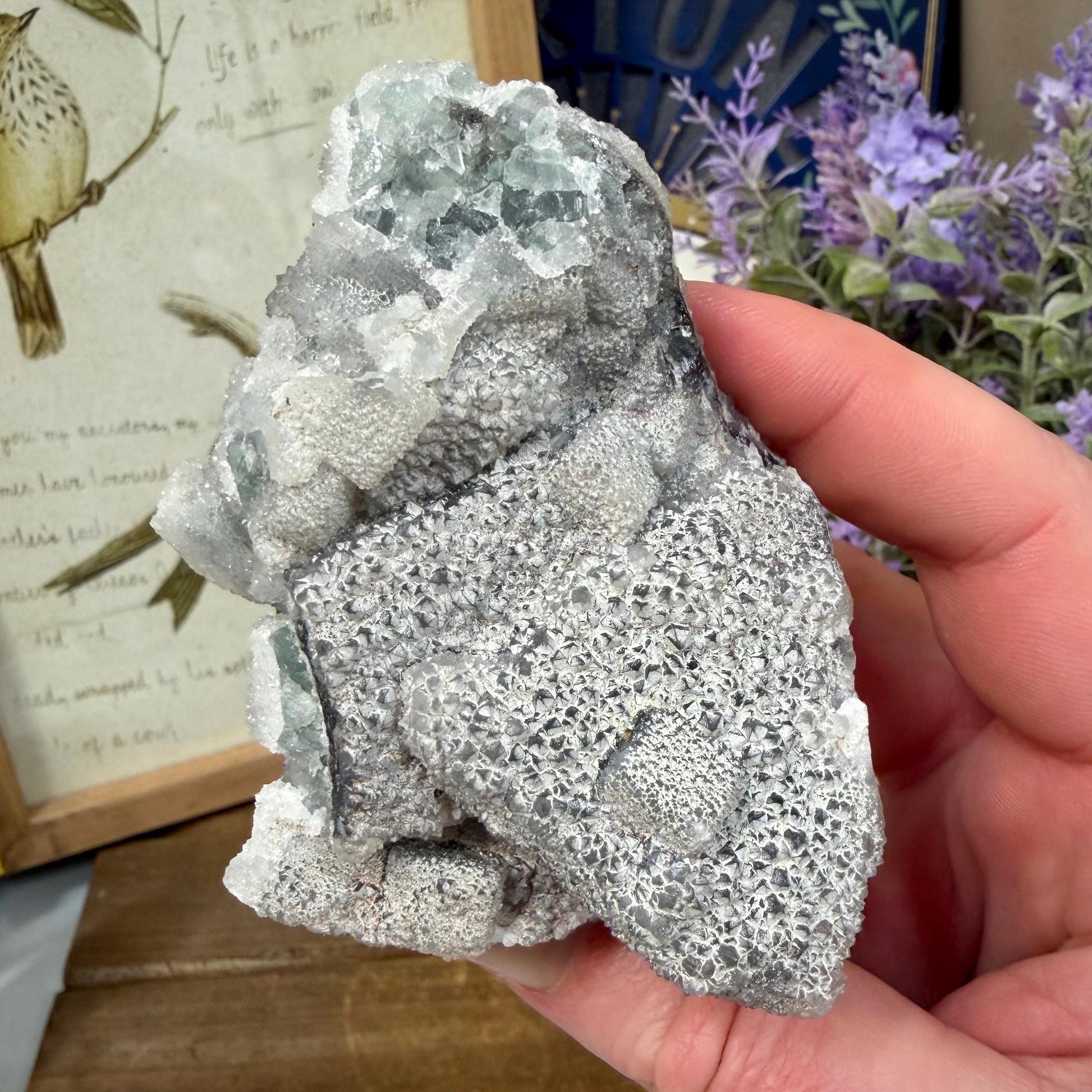 Sparkling Druzy Quartz on Cubic Fluorite | Quartz Epimorphs After Fluorite Cubes | Light Green Fluorite Mineral Specimen