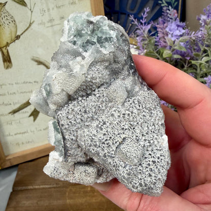 Sparkling Druzy Quartz on Cubic Fluorite | Quartz Epimorphs After Fluorite Cubes | Light Green Fluorite Mineral Specimen