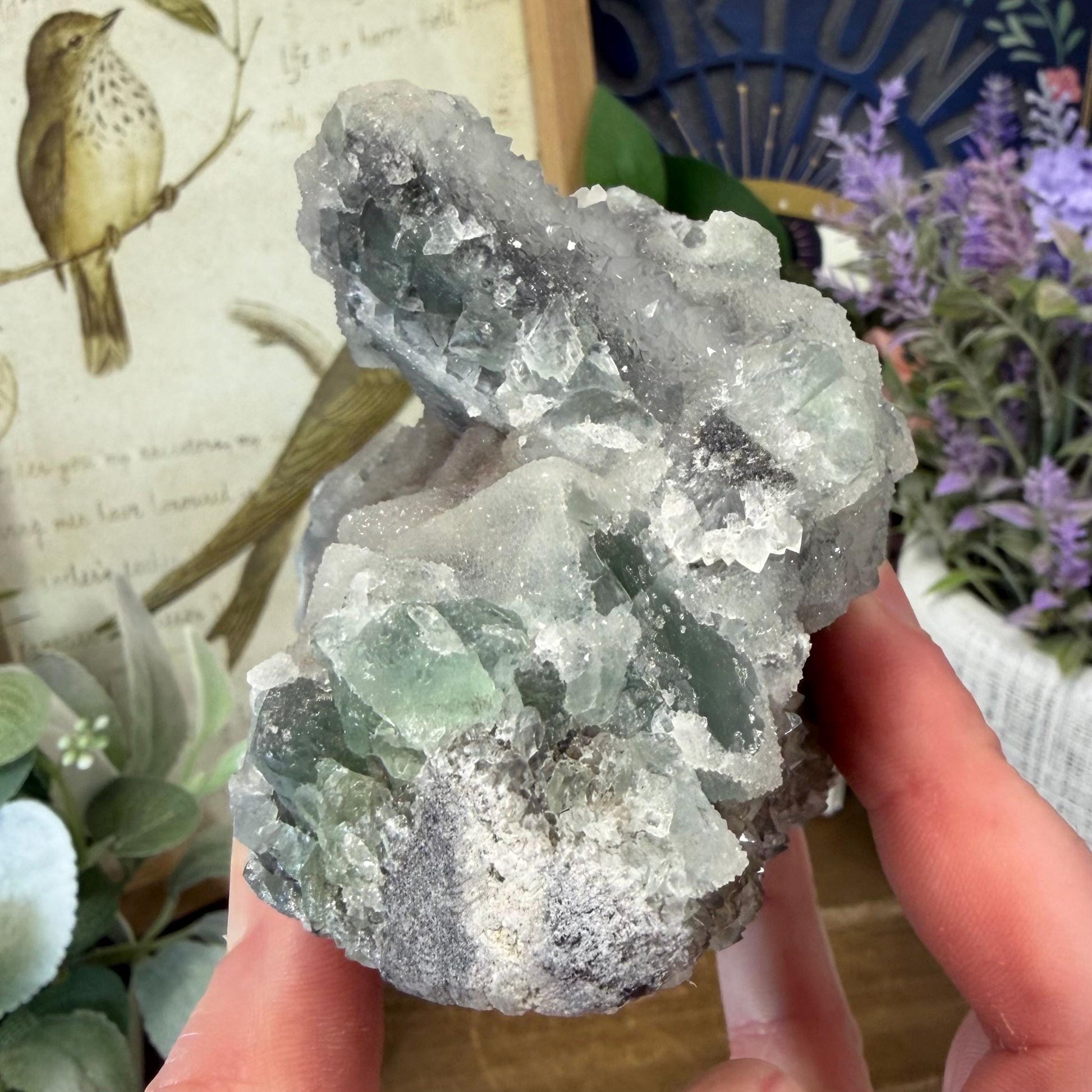 Sparkling Druzy Quartz on Cubic Fluorite | Quartz Epimorphs After Fluorite Cubes | Light Green Fluorite Specimen