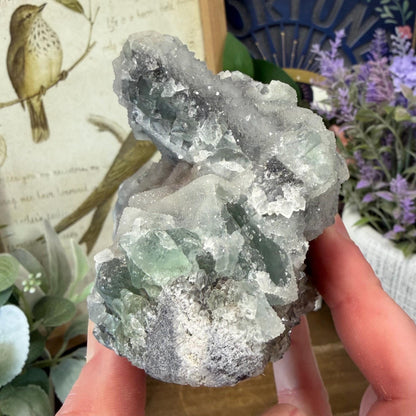 Sparkling Druzy Quartz on Cubic Fluorite | Quartz Epimorphs After Fluorite Cubes | Light Green Fluorite Specimen