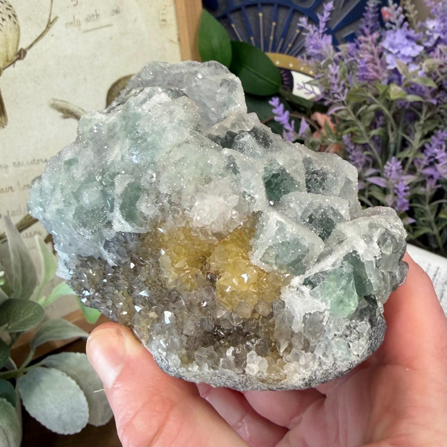Sparkling Druzy Quartz on Cubic Fluorite | Quartz Epimorphs After Fluorite Cubes | Light Green Fluorite Specimen