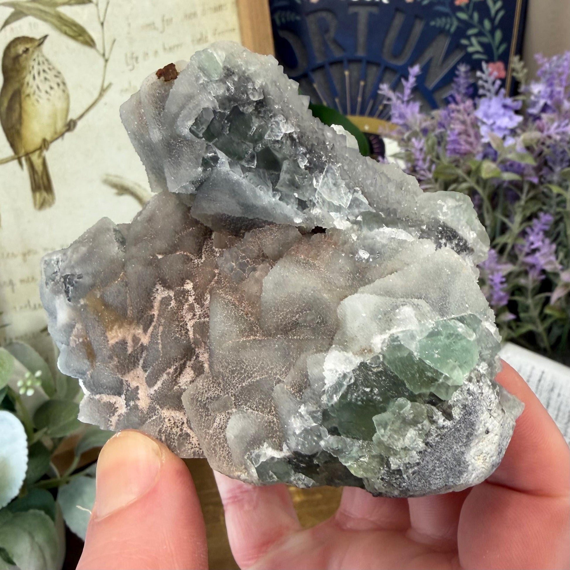 Sparkling Druzy Quartz on Cubic Fluorite | Quartz Epimorphs After Fluorite Cubes | Light Green Fluorite Specimen