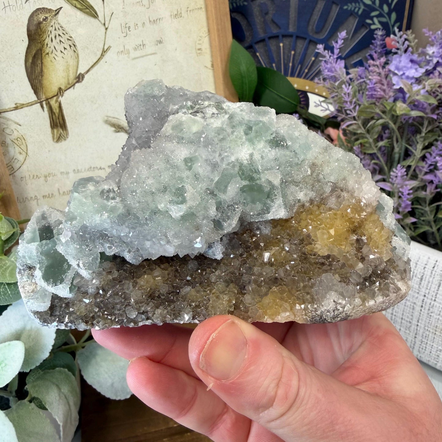 Sparkling Druzy Quartz on Cubic Fluorite | Quartz Epimorphs After Fluorite Cubes | Light Green Fluorite Specimen
