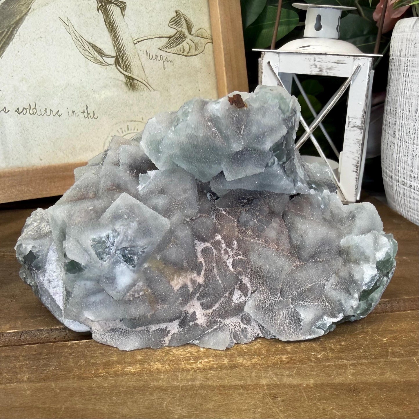 Sparkling Druzy Quartz on Cubic Fluorite | Quartz Epimorphs After Fluorite Cubes | Light Green Fluorite Specimen