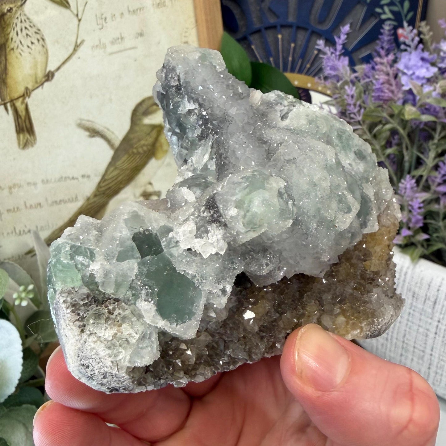 Sparkling Druzy Quartz on Cubic Fluorite | Quartz Epimorphs After Fluorite Cubes | Light Green Fluorite Specimen