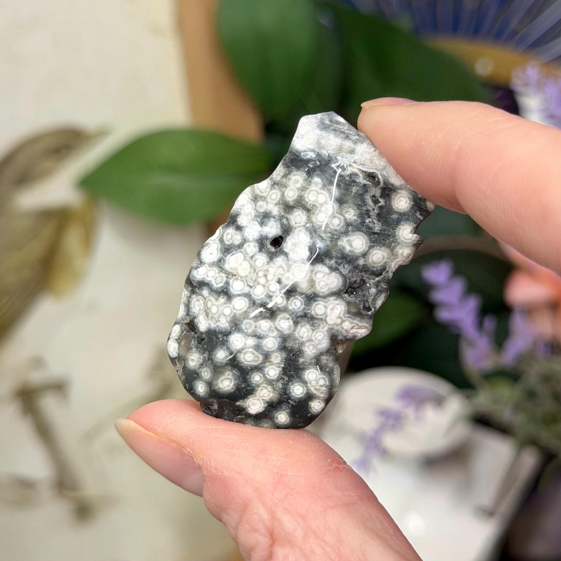 Ocean Jasper Tumble Set | Marovato OJ | Colorful Ocean Jasper Tumbles | Druzy Ocean Jasper