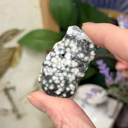 Ocean Jasper Tumble Set | Marovato OJ | Colorful Ocean Jasper Tumbles | Druzy Ocean Jasper