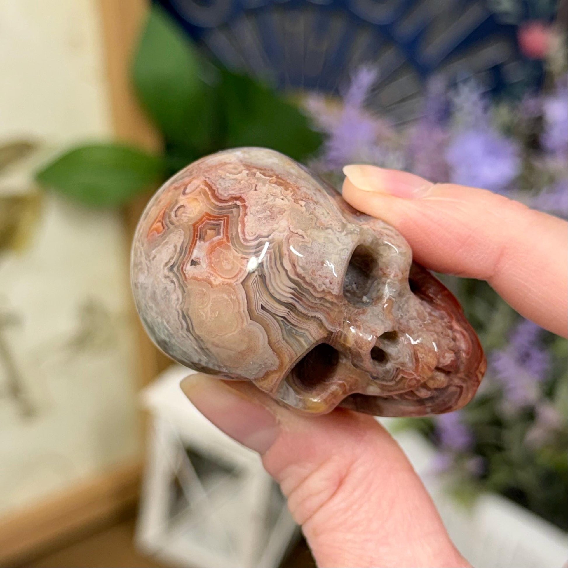 Small Mexican Lace Agate Skull | Crystal Skull | Banded Agate