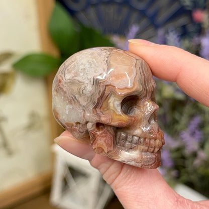 Small Mexican Lace Agate Skull | Crystal Skull | Banded Agate