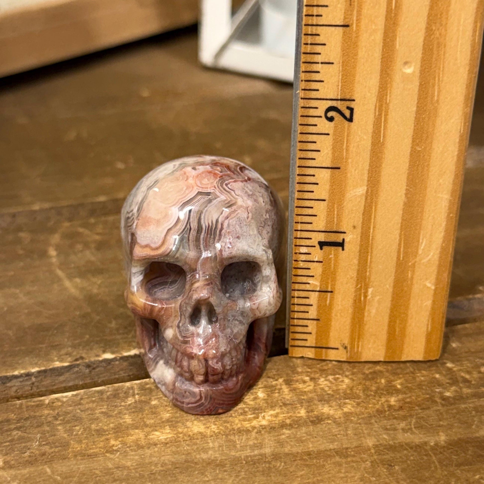 Small Mexican Lace Agate Skull | Crystal Skull | Banded Agate