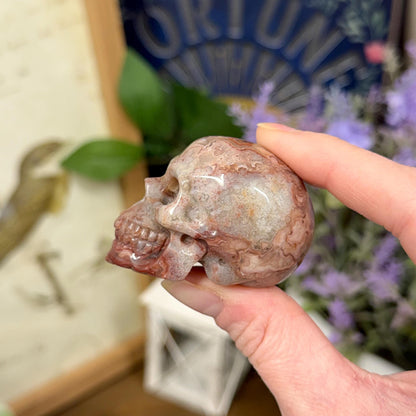 Small Mexican Lace Agate Skull | Crystal Skull | Banded Agate