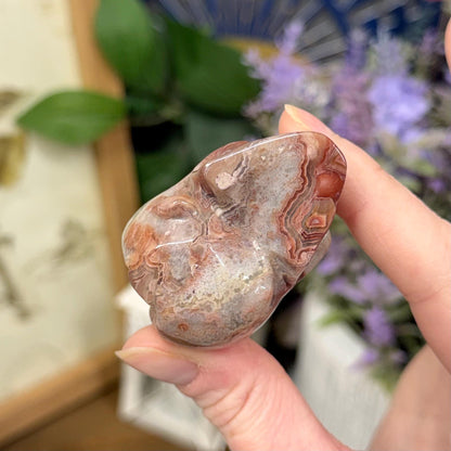Small Mexican Lace Agate Skull | Crystal Skull | Banded Agate