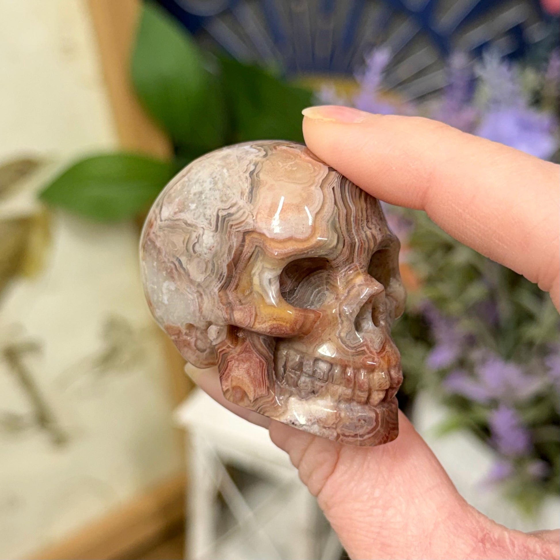 Small Mexican Lace Agate Skull | Crystal Skull | Banded Agate