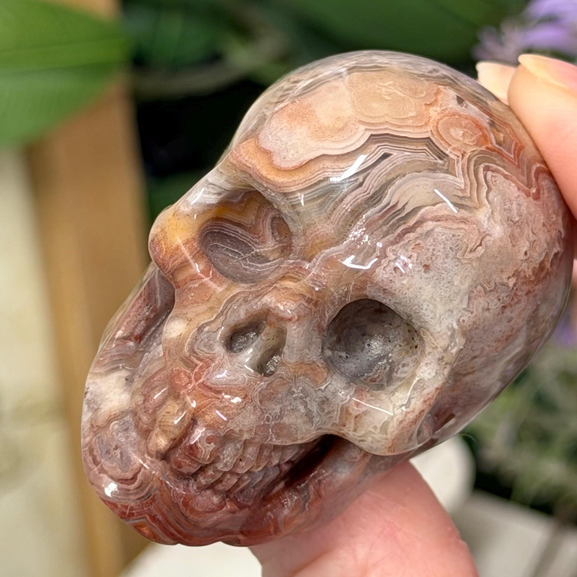 Small Mexican Lace Agate Skull | Crystal Skull | Banded Agate