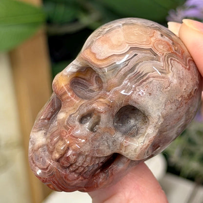 Small Mexican Lace Agate Skull | Crystal Skull | Banded Agate