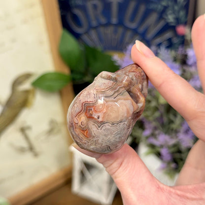 Small Mexican Lace Agate Skull | Crystal Skull | Banded Agate