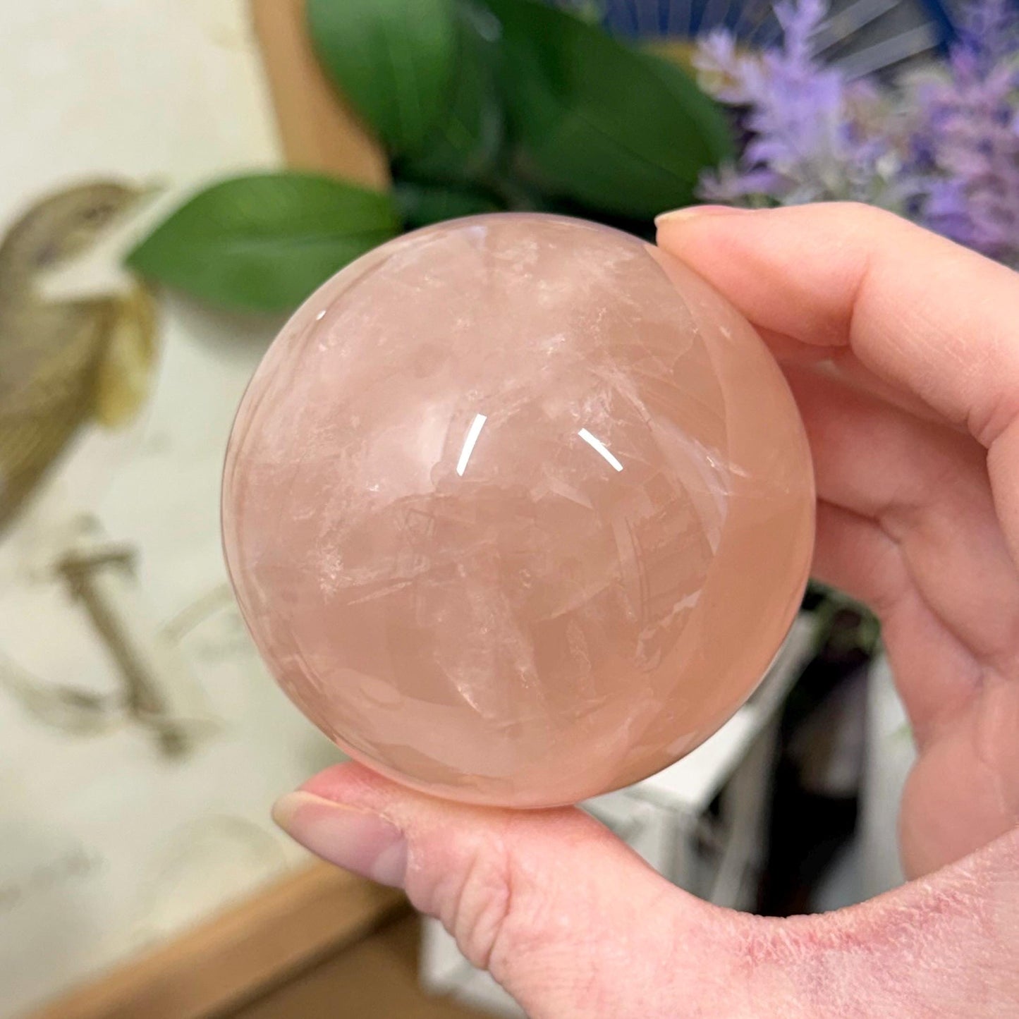 Saturated Rose Quartz Sphere with Asterism | Star Rose Quartz