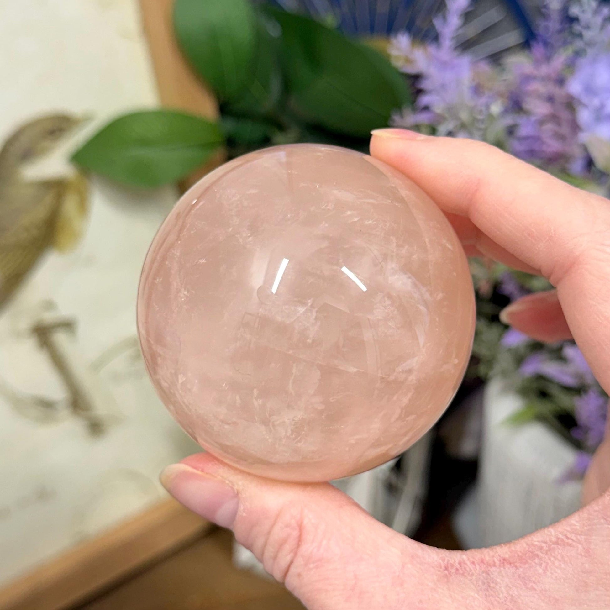 Saturated Rose Quartz Sphere with Asterism | Star Rose Quartz