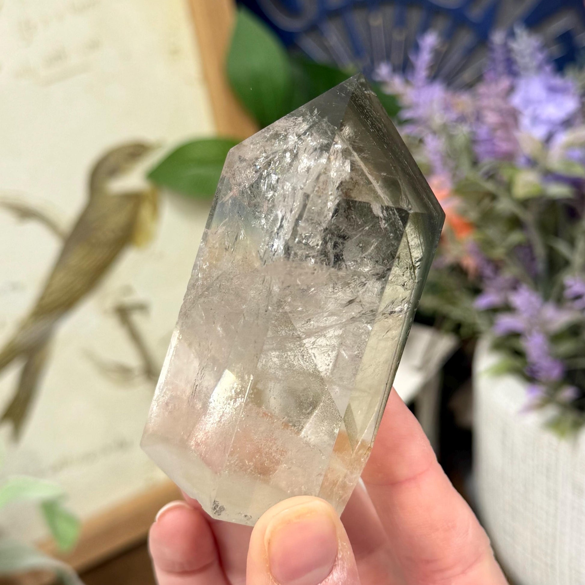 Scenic Lodolite Quartz Tower with Rainbows | Garden Quartz | Green Chlorite Quartz | Chlorite Phantoms | Rainbow Quartz