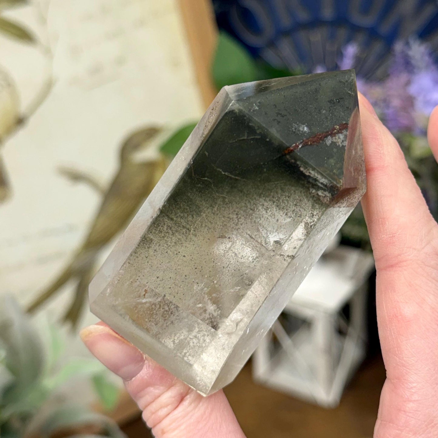 Scenic Lodolite Quartz Tower with Rainbows | Garden Quartz | Green Chlorite Quartz | Chlorite Phantoms | Rainbow Quartz