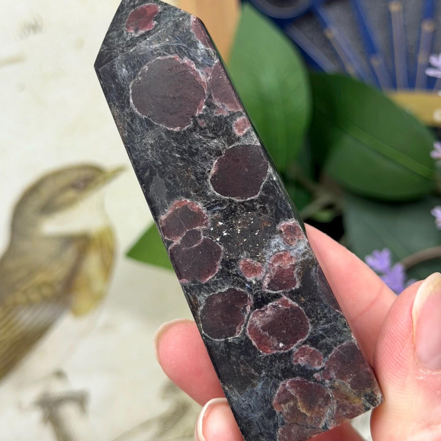 Arfvedsonite Tower | Arfvedsonite and Garnet